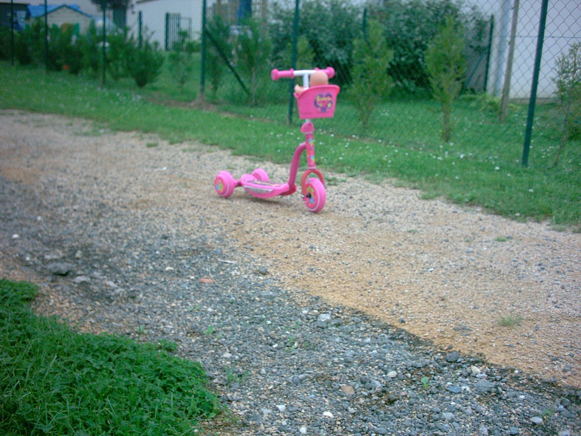 Digital Camera