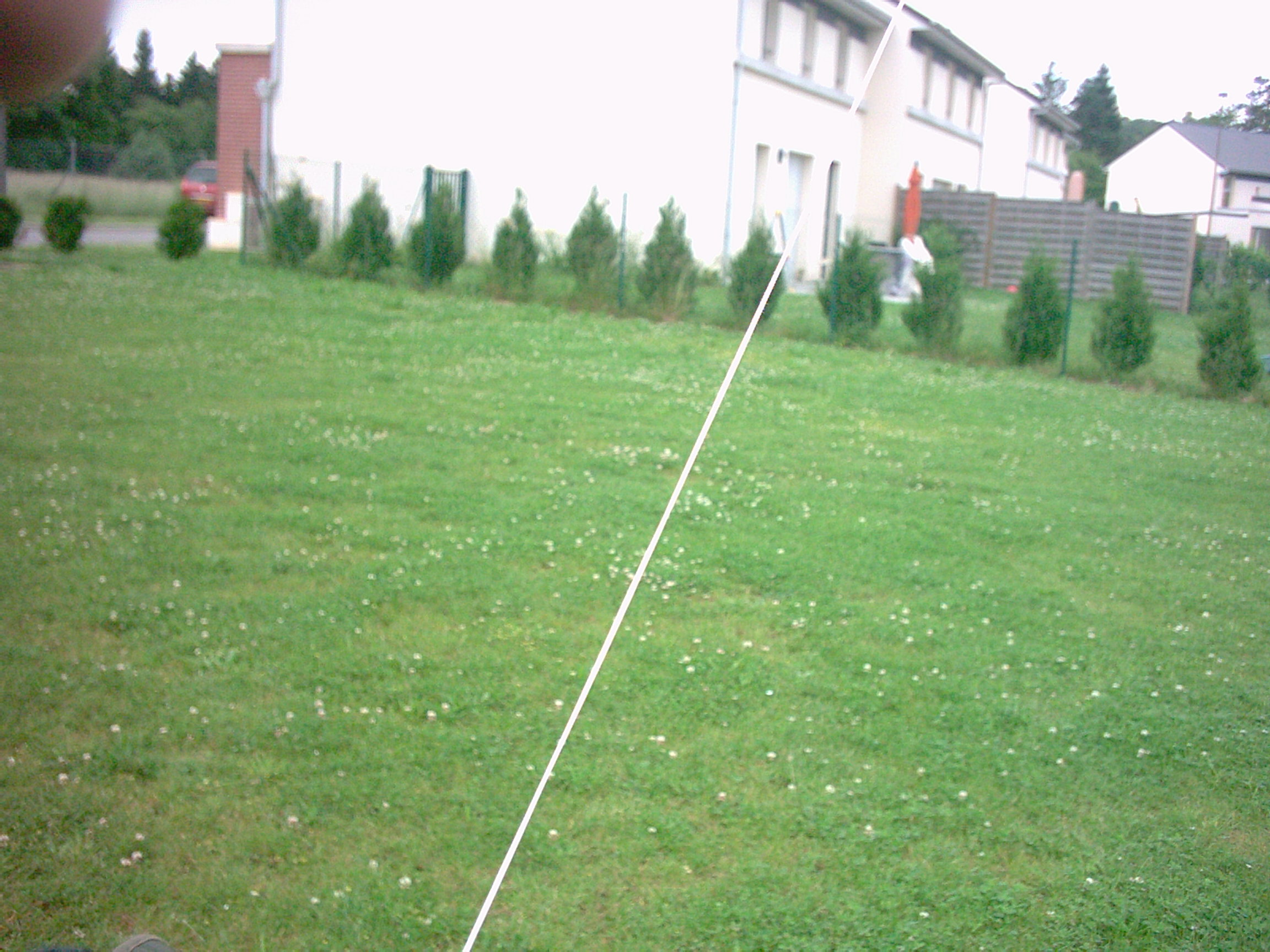 Digital Camera