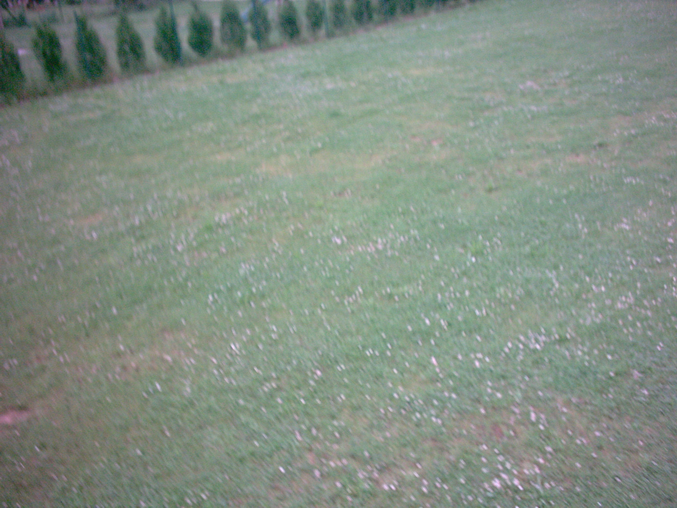 Digital Camera