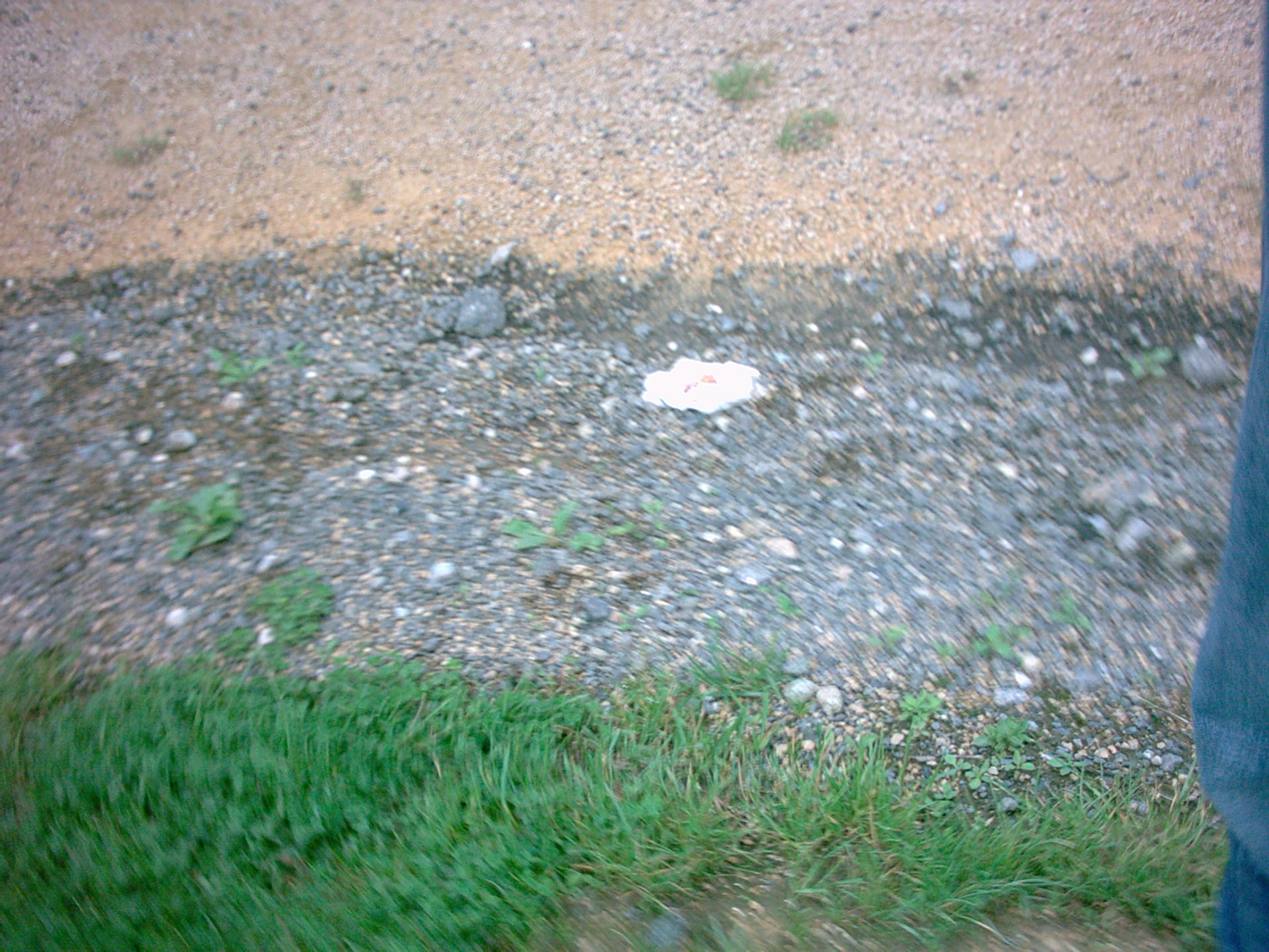 Digital Camera