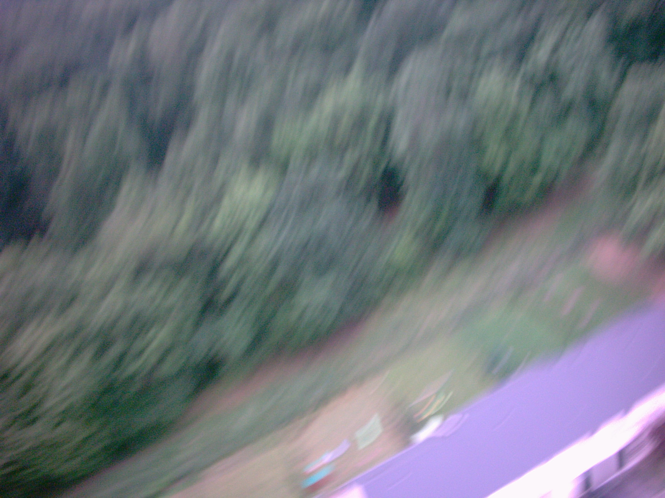 Digital Camera