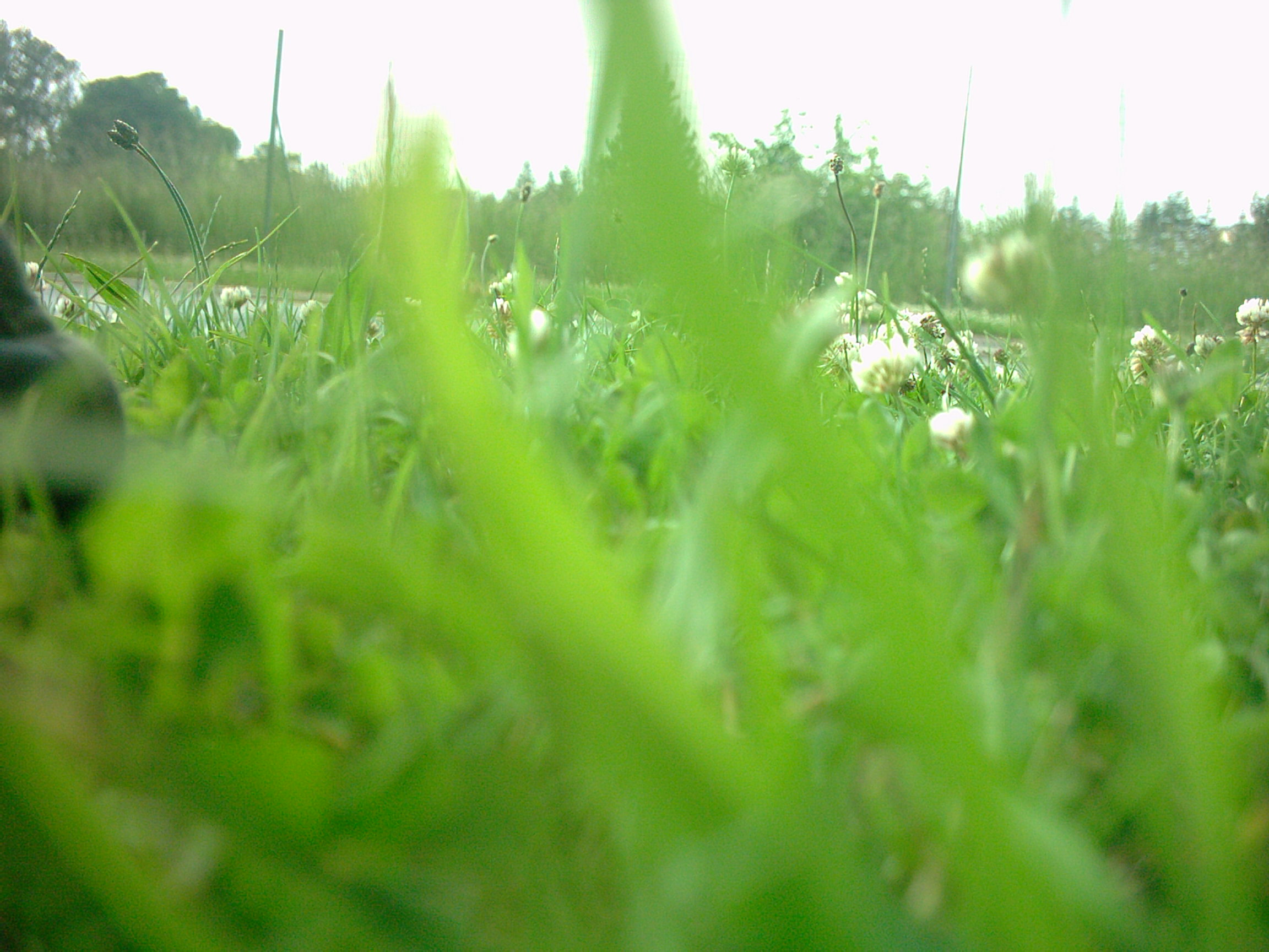 Digital Camera