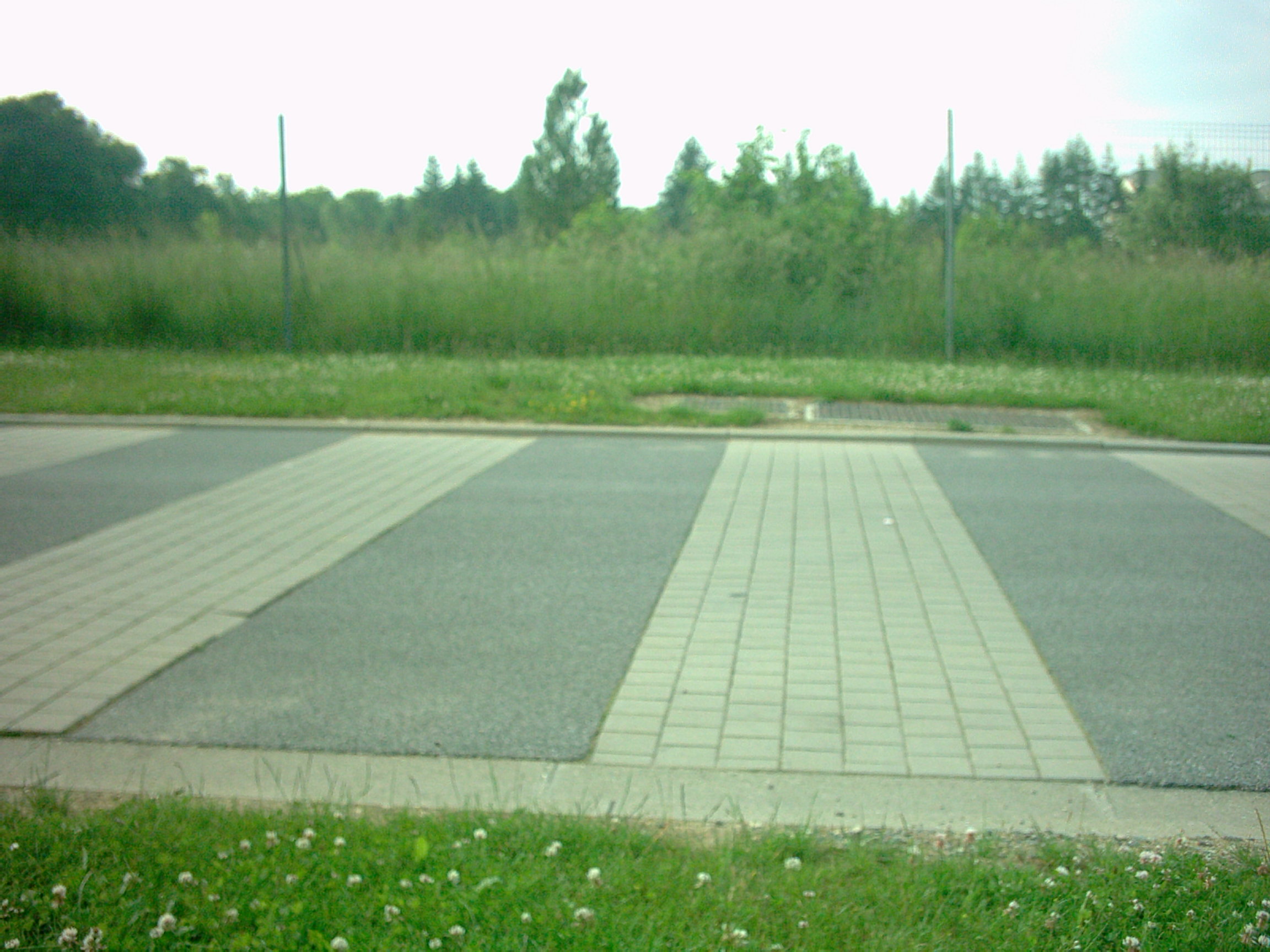 Digital Camera