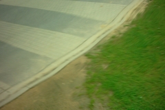 Digital Camera