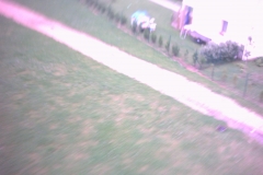 Digital Camera