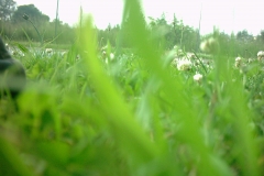 Digital Camera