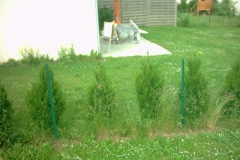 Digital Camera